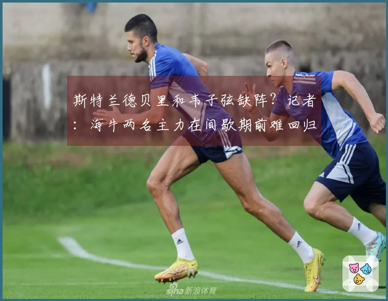 斯特兰德贝里和韦子弦缺阵？记者：海牛两名主力在间歇期前难回归